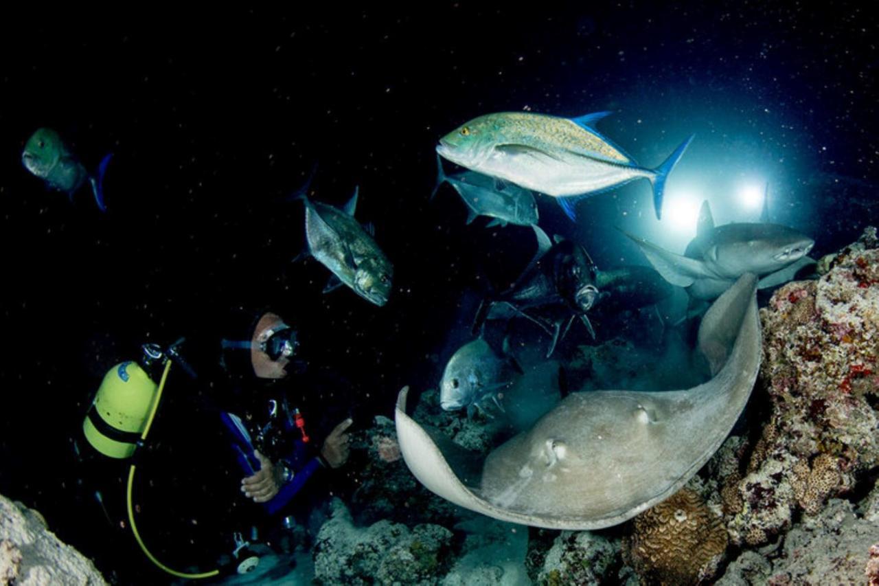 Hotel And Dive Center Roatan Yacht Club French Harbour Экстерьер фото