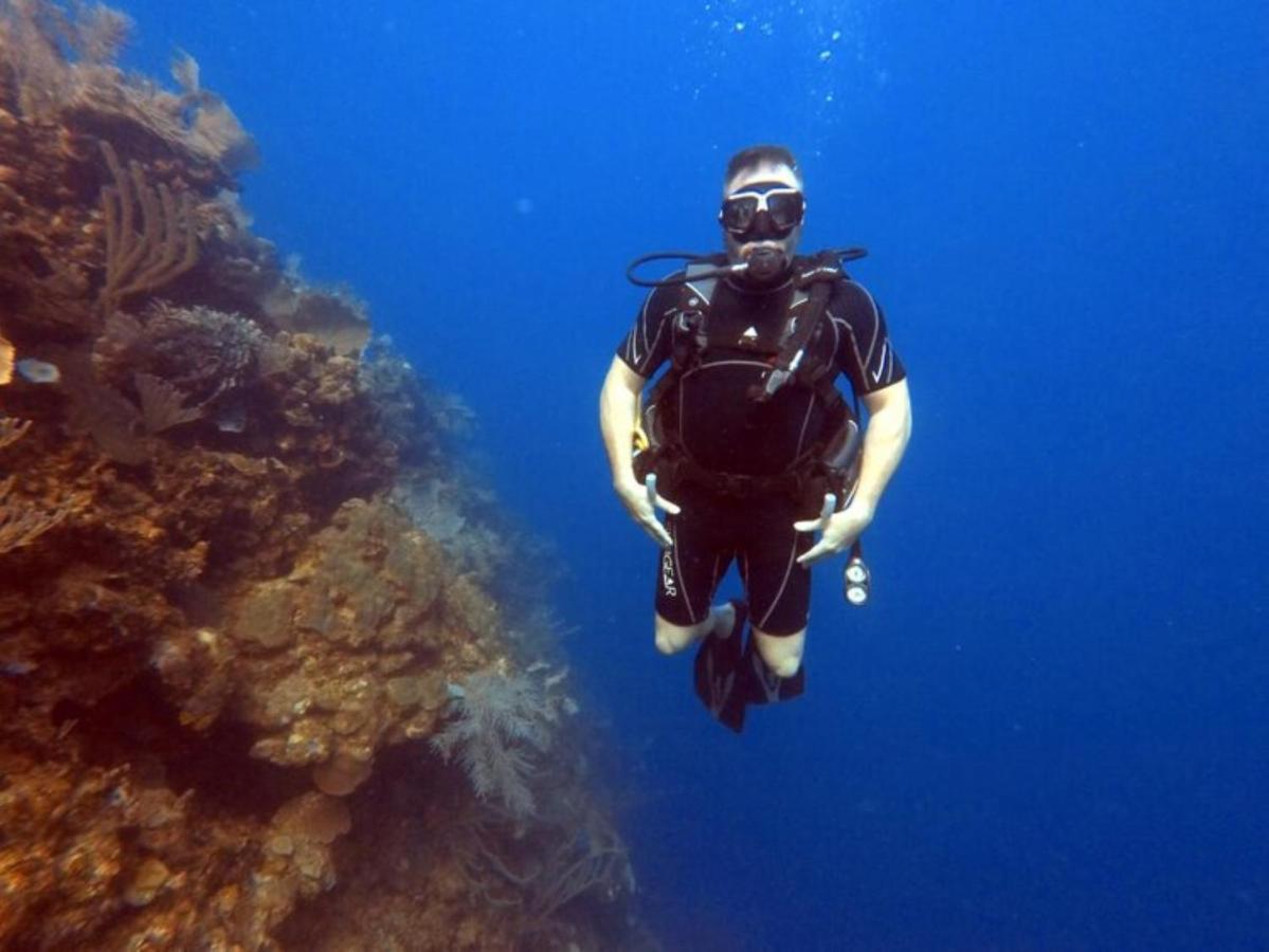 Hotel And Dive Center Roatan Yacht Club French Harbour Экстерьер фото